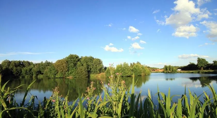 Brook Meadow - Image 1
