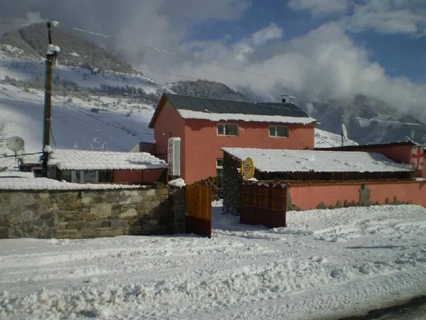 Aragvi Guest House - Image 1