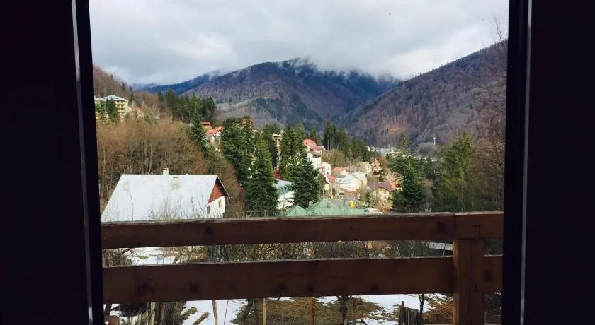 Vila Sinaia Private - Image 1