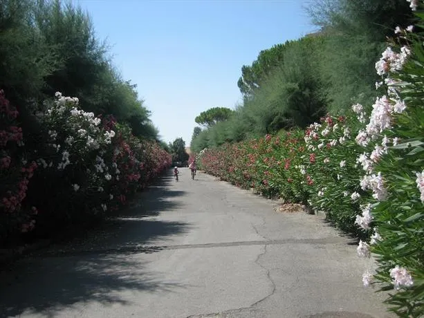 Sea Terrace Flat - Image 1