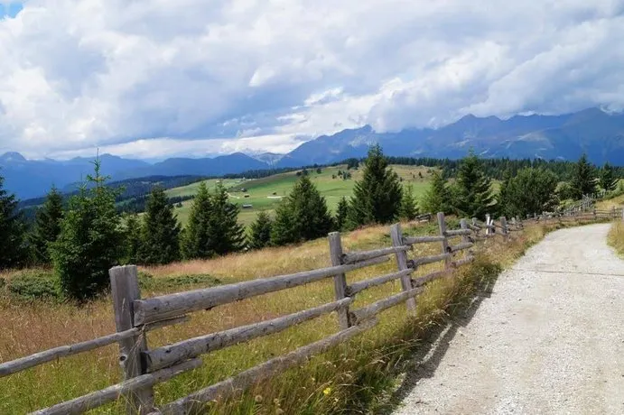 Alpenrose - Image 1
