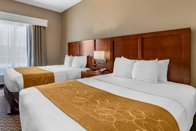 Comfort Suites - Image 1