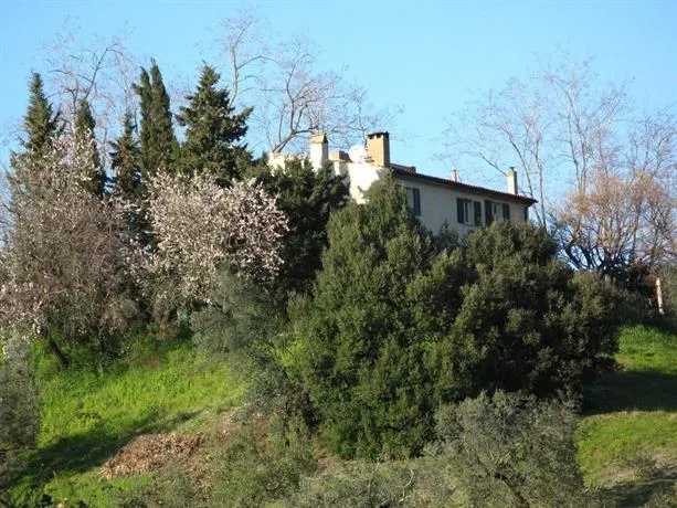 Riparbella - Image 1