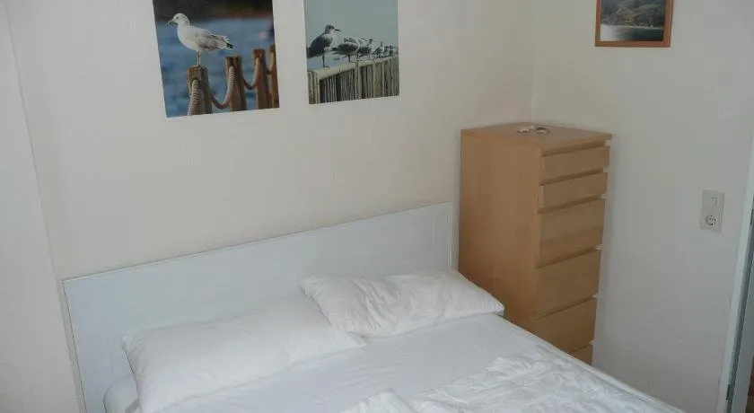 Seestern - Image 1