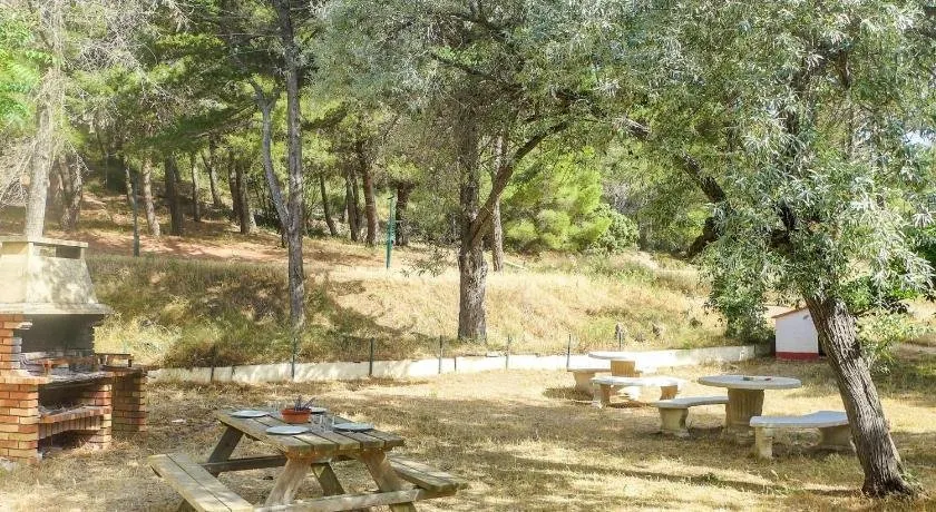 Agréable appartement de vacances avec terrasse et jardin | Avec animaux admis - Image 1