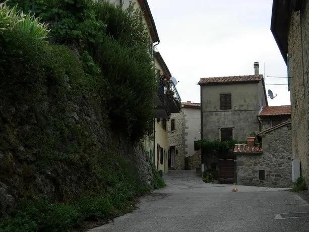 Il Pino Amiata - Image 1