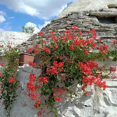 Trulli la casa di Rosa - Image 1