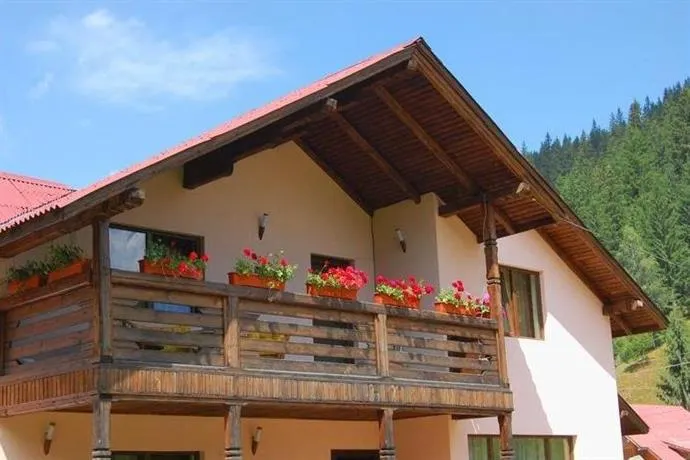Pietrele Doamnei - Image 1