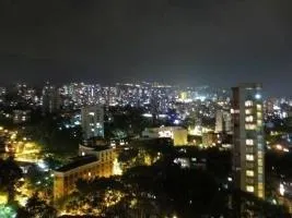 Bosque de Plata - Image 1