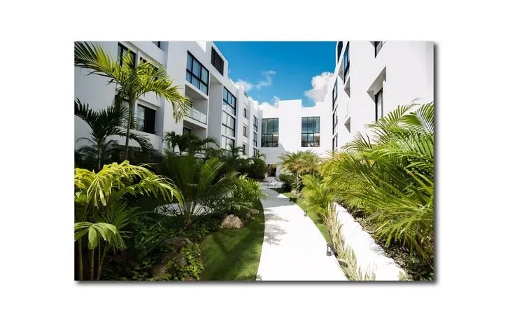 Armonia Suite 303 - Image 1