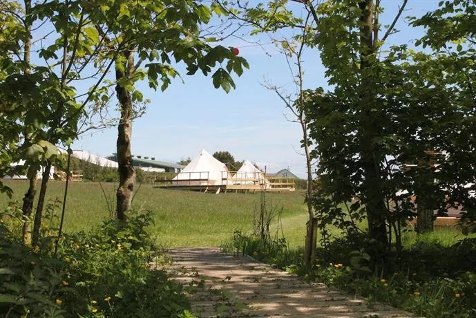 Koa Tree Camp - Image 1