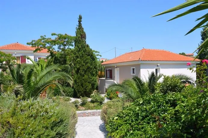 Tsipouri Gorgona - Image 1