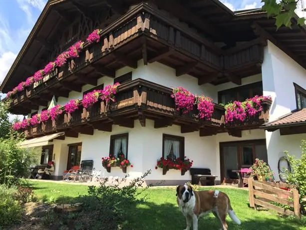 Ferienhaus Larinmos - Image 1