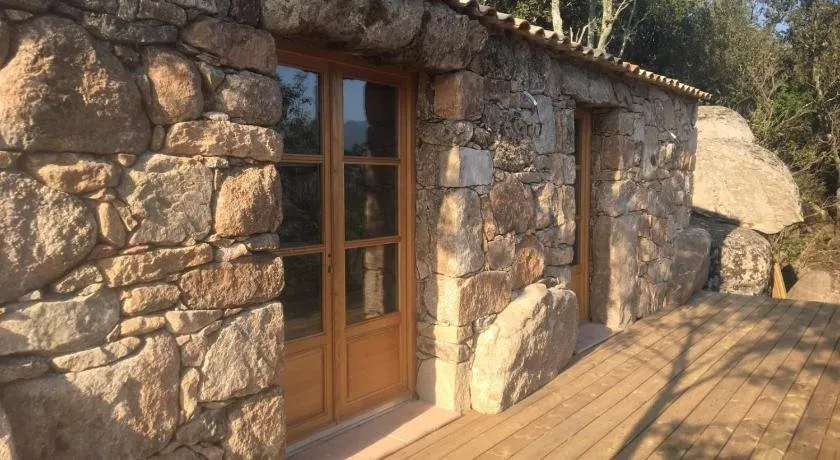 ALZITEDDA - Image 1