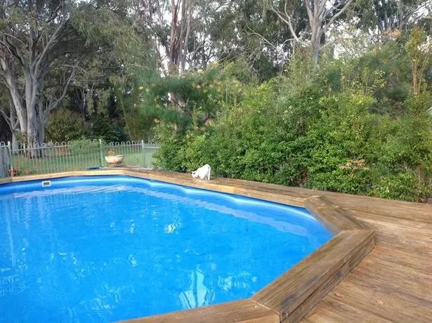 Dragonfly BnB - Image 1