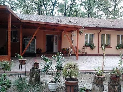 Forest Mirage - Image 1