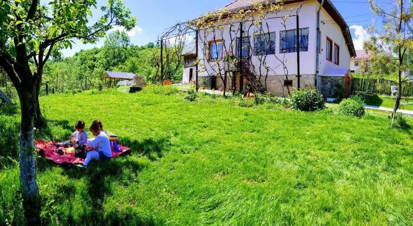 Casa Zestrea Bunicii - Image 1