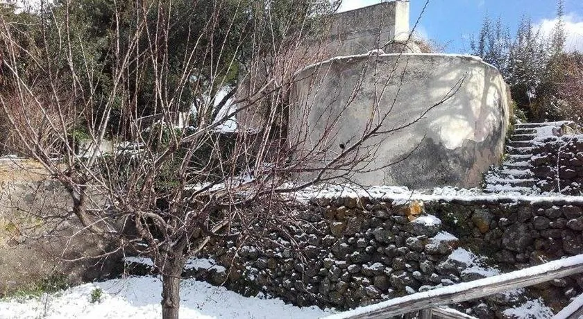 Casa Amaryllis - Image 1