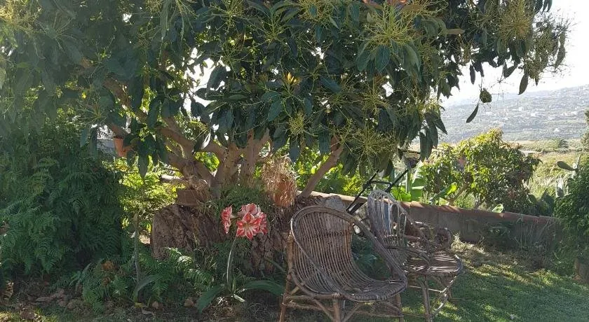 La Sabana - Image 1