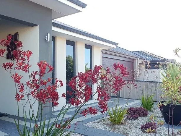 Rainbow Joy House - Image 1