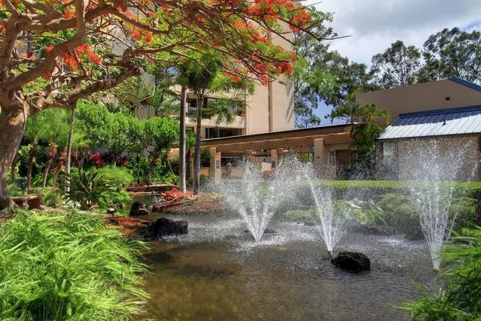 Hawaiian Haven - Image 1