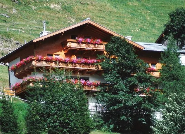 Paulina - Image 1