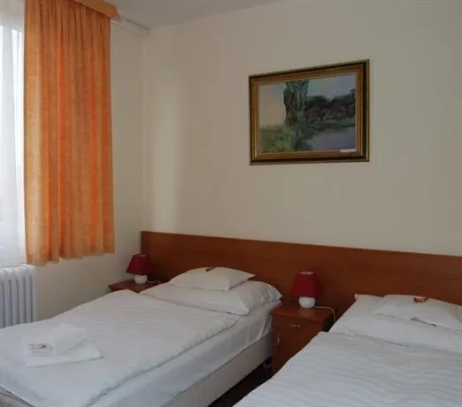 Civis Hotel Phonix Tiszaujvaro - Image 1