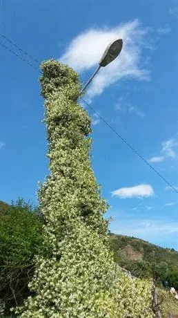 Affittacamere La Torre - Image 1