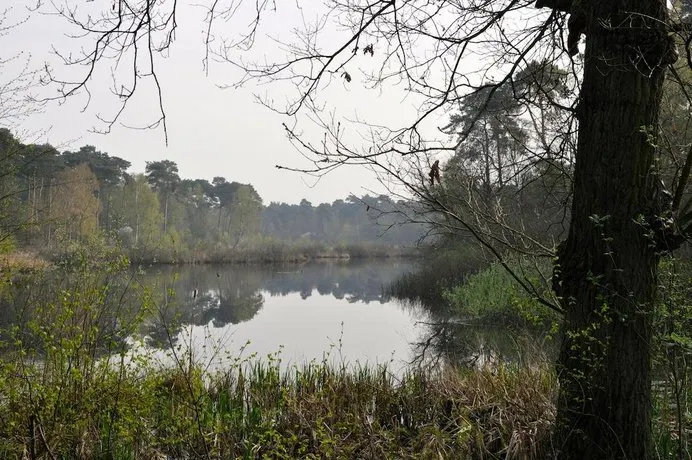 De Waterput - Image 1