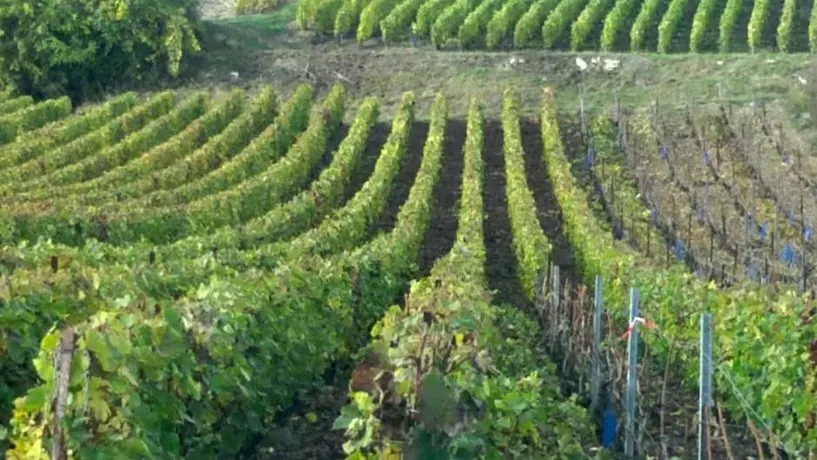 L'escale Fleurie - Image 1