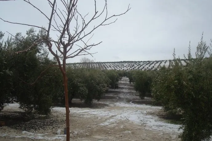 Casa Rural Pío - Image 1