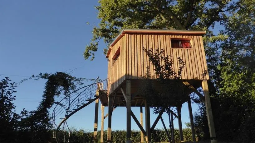 La cabane perchee du faucon - Image 1