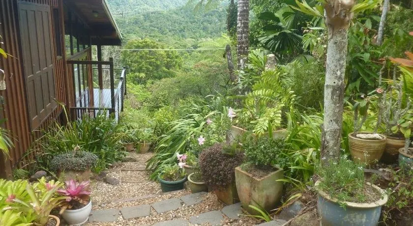 Daintree Holiday Homes - The Folly - Image 1