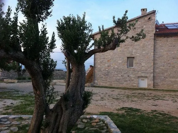 Guesthouse Pensione Dalmazia - Image 1