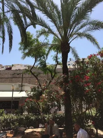 CASCO ANTIGUO - Image 1