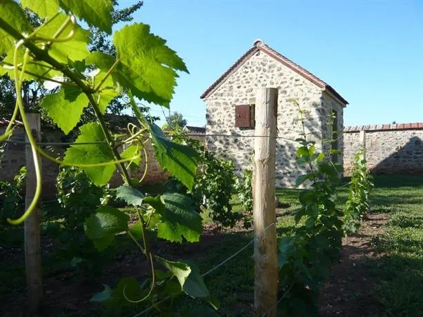 La Loge de Vigne - Image 1