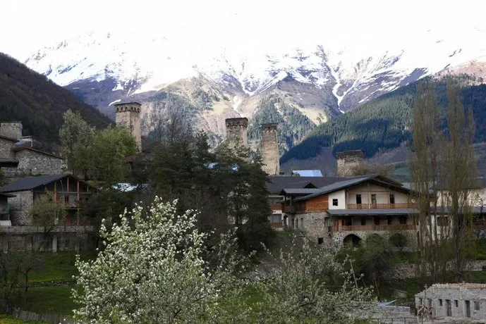 Mushkudiani Manor - Image 1