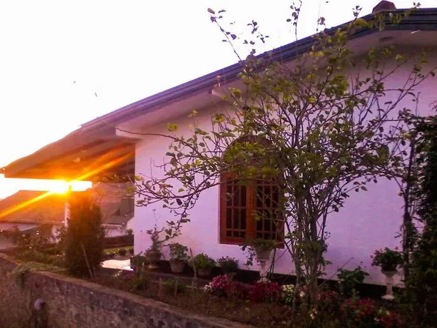 Hill Tea View - Image 1