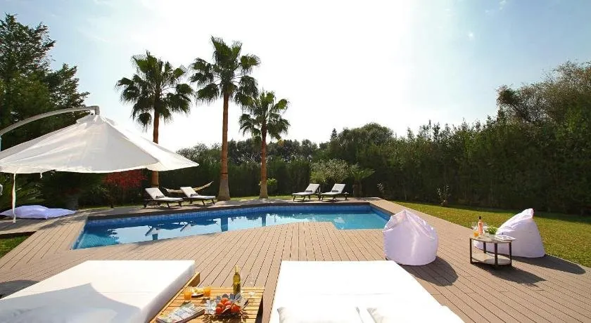 Modern Palmeras - Image 1