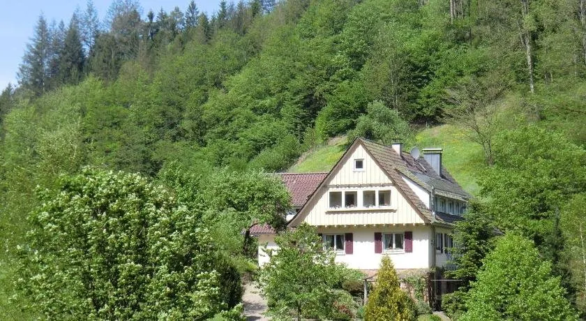 Comfy Apartment in Oppenau near Black Forest National Park - Image 1