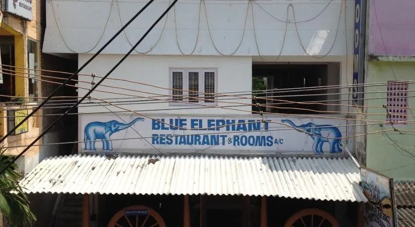 Blue Elephant - Image 1