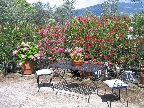 Fiesole In Giardino - Image 1