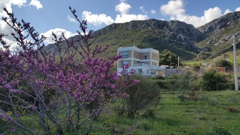 Beyaz Ev - Image 1