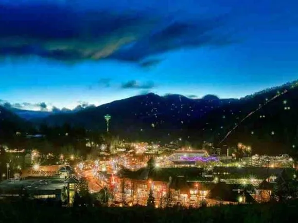 Urban Cowboy Holiday home Gatlinburg - Image 1