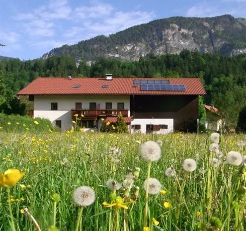 Attraente appartamento accogliente e familiare con giardino | Vista sulla montagna - Image 1