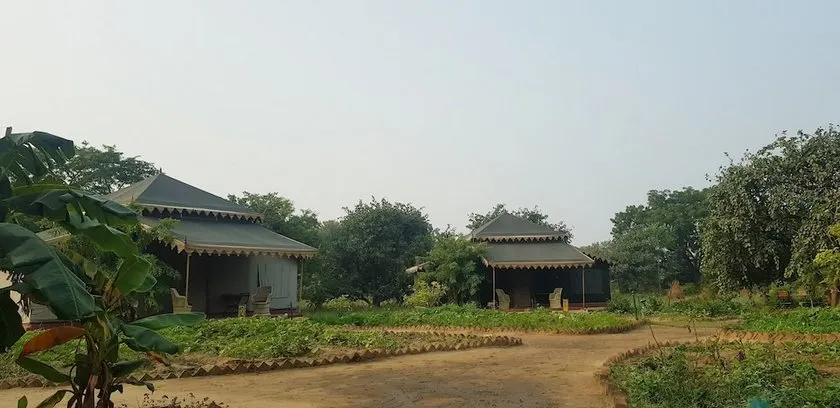 The Orchard - Image 1