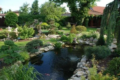 Koi - Image 1