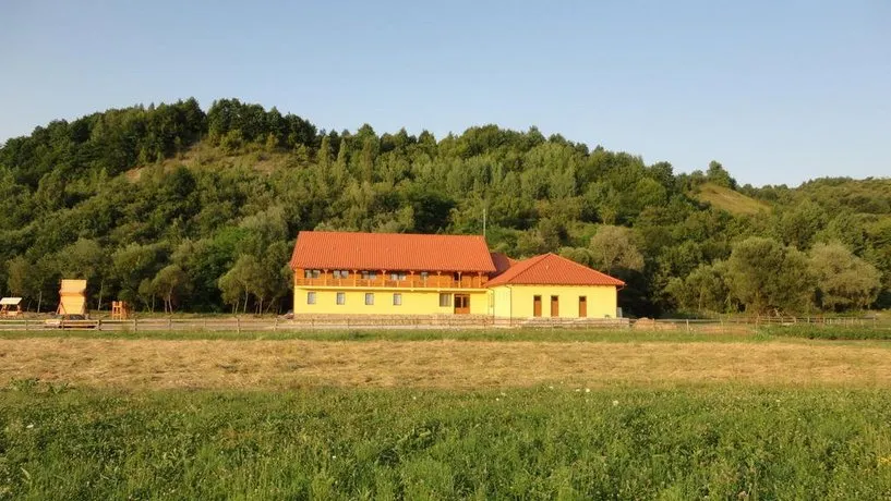 Pensiunea Cosau - Image 1