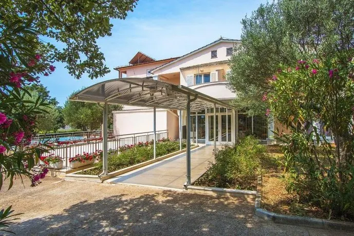 Pansion Oliva - Image 1