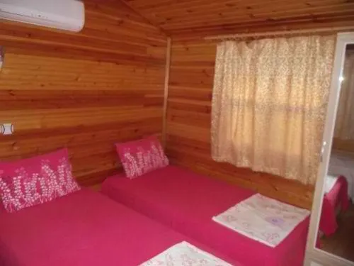 Olimpos Zeytin Pansiyon - Image 1
